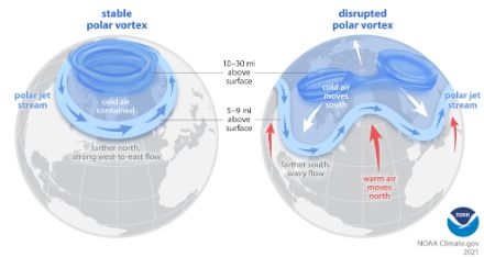 Die Grafik zeigt zwei Ansichten der Erde. Die linke Grafik zeigt einen stabilen Polarwirbel. Die kalte Luft über der Arktis bleibt im Wirbel gefangen. Der Polarfront-Jetstream ist Richtung Norden verschoben. Die rechte Grafik zeigt einen abgeschwächten Polarwirbel. Der Polarfront-Jetstream ist verwellt und Kaltluft kann weit in den Süden ausgreifen.