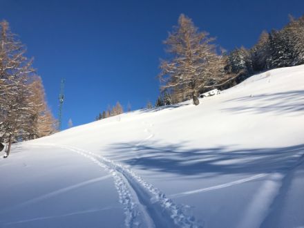 Eine Spur geht einen Pulverhang hinauf, blauer Himmel im Hintergrund. 