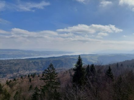 Am späten Vormittag waren auf dem Albishorn (mit Blick auf den Zürichsee) noch die letzten Reste der sich auflösenden tiefen Bewölkung zu sehen.