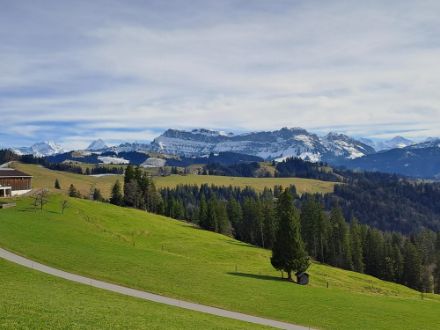 Frühlingshaft mild war es auch in Eggiwil im Emmental. Quelle: Meteomeldung/App 