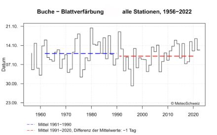 Zeitreihe der Blattverfärbung der Buche. Hier ist heute keine Veränderung gegenüber dem Beginn der Aufzeichnungen feststellbar.