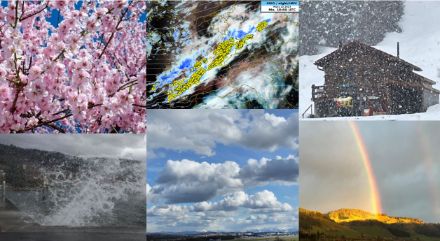 Bildcollage: Bunter März 2023. Vielen Dank an alle Fotografinnen und Fotografen sowie Meteomeldungen in der MeteoSwiss App.