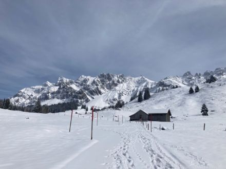 Auf der Schwägalp lag heute morgen eine ansehnliche Schneedecke. In Muldenlagen sorgte eine mächtige Schneedecke für sehr tiefe Temperaturen auch in 2 Metern Messhöhe. Am Sägistalsee (BE, private Station von Stephan Vogt), welcher in einem sehr ausgeprägten Kaltluftsee liegt, wurden nämlich heute am Morgen Tiefstwerte von -31.4 Grad registriert. Bildquelle: Markus Kägi.