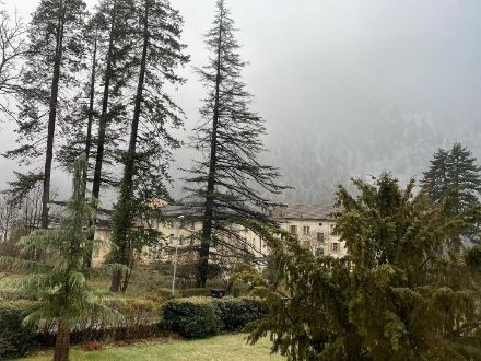 Nicht gerade typisch für Nordwindverhältnisse präsentierte sich am Montagvormittag das Wetter in Faido in der Leventina. Statt blauem Himmel und klarer Luft war trübes Wolkengrau tonangebend  und es schneite in der mittleren Leventina bis 700 Meter hinunter. Bild: Luca Nisi.