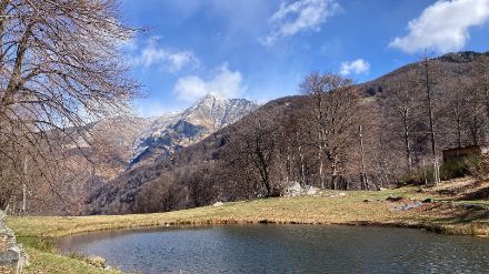 Blick von den Monti di Motti Richtung Norden ins Verzascatal heute Vormittag. Der Himmel war meist blau, doch einige Wolkenfelder liessen vermuten, dass es weiter nördlich bewölkt war. Bild: Sandra Burri.
