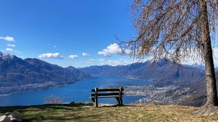 Auf den Monti di Motti ob Locarno konnte man heute einen wundervollen Blick auf den Lago Maggiore geniessen. Bild: Sandra Burri.