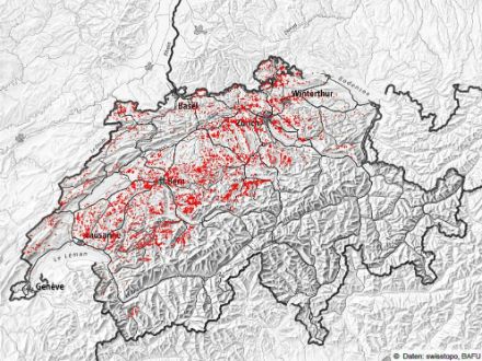 Darstellung der Wälder mit Totalschaden beim Sturm Lothar vom 26. Dezember 1999. Schwer heimgesucht wurden das Mittelland sowie die westlichen und zentralen Voralpen. Die inneralpinen Gebiete wurden im Gegensatz zu Vivian kaum betroffen.