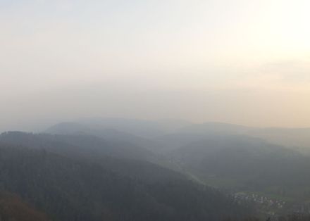 Auch wenn sich heute im Raum Zürich zeitweise die Sonne durchsetzen konnte, blieb unter der Inversion eine trübe Dunstschicht zurück. 