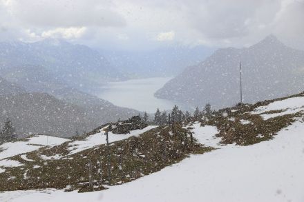 Dennoch gab es in den Bergen lokale Schneeschauer, wie hier von der Alp Ober Altberg (1433 m ü.M.), bei der Ibergeregg mit Blick zum Vierwaldstättersee.