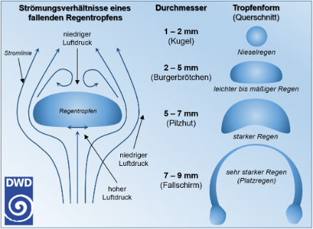 Schematische Darstellung der Kräfte, die auf einen zu Boden fallenden Regentropfen wirken (links). Je nach Grösse des Tropfens nimmt er dabei eine andere Form ein (rechts). 