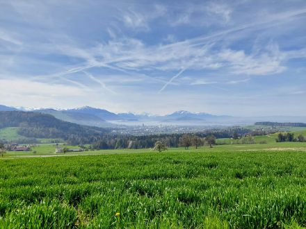 Von Regentropfen war beim Zugersee bis weit in den Nachmittag hinein noch nichts zu sehen.
