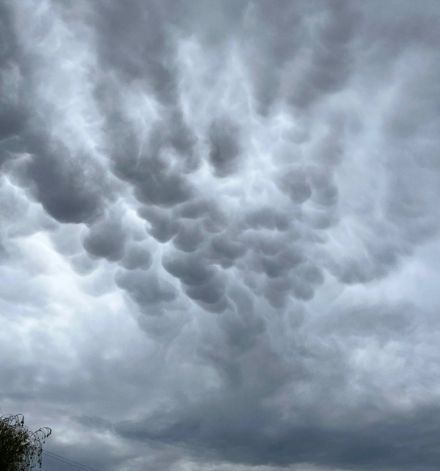 Bei Cully am Genfersee konnten heute Nachmittag diese schönen Altocumulus mamma beobachtet werden. 