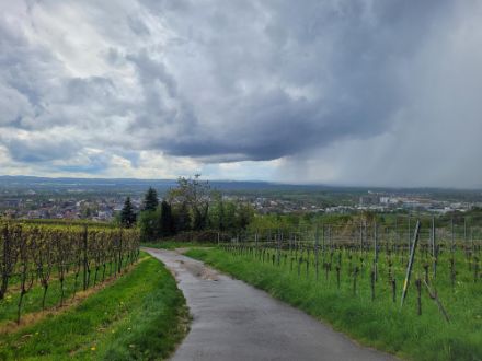 Regenschauer in der Nähe von Riehen BS