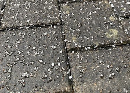 Weissliche, halbdurchsichtige, nasse Körner auf Plattenboden.