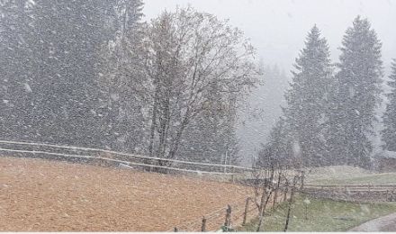 So oder ähnlich wie auf diesem Bild, welches gestern in Riezlern im vorarlbergischen Kleinwalsertal etwa 40 km östlich  des St. Galler Rheintals aufgenommen wurde, muss es am 25. März 1951 in Zürich ausgesehen haben.