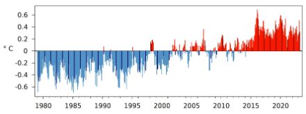 Säulengrafik der globalen monatlichen Temperatur.