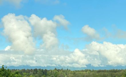Aufsteigende Cumuli über dem westlichen Mittelland und dem Jura, aufgenommen in Cheseaux-sur-Lausanne. 