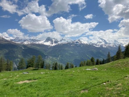 Typische Frühlingsstimmung: im Tal Grün in allen Farbtönen, die Gipfel noch weiss bzw. schneebedeckt. Blick von nahe Vercorin ins Val d’Anniviers nach St-Luc und zum Le Toûno links von der Bildmitte und zum Sommet Nord (Les Diablons) rechts. 