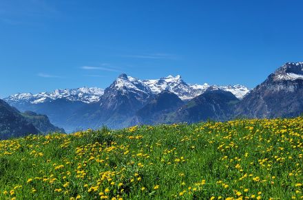 Sonniger Frühlingstag am 3.5.23 in der Zentralschweiz. Wird der Sommer ebenfalls sonnig? 