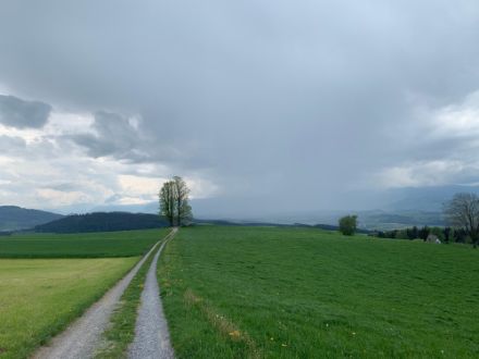 Einen solchen Anblick werden einige von uns während dem verlängerten Auffahrtswochenende haben. Quelle: Meteomeldungen/App