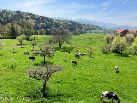 Auch in den Freiburger Voralpen, im Bild Porsel, war es meist sonnig. 