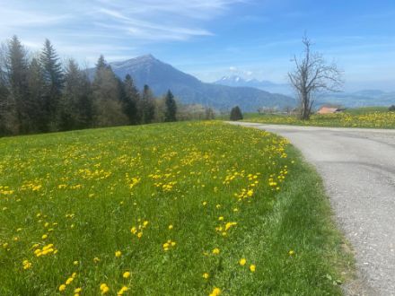 Blick von Walchwil zur Rigi mit ein paar Schleierwolken. 