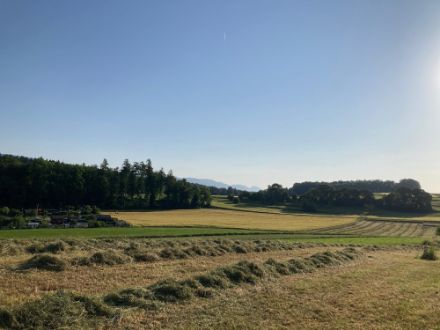 Gute Wetterbedingungen, um das Gras zu trocknen. Aufnahme am Morgen des 31. Mai in Brügg BE. 