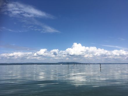 Blick über den Bodensee bei Güttingen heute Nachmittag.