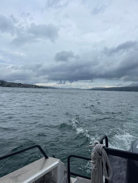 Zürichsee mit aufziehenden Regenwolken.