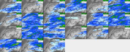 Ensemble-Prognose des 24-stündigen Niederschlags nach dem COSMO-2E-Modell bis am Mittwochmorgen, 19.07.2023 um 05:00 Uhr. Gezeigt sind die 20 Members und zuunterst der Median des Ensembles.