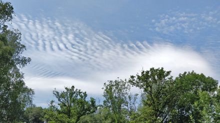 Typisch für eine Wetterlage mit Warmlufttransport: Von Wellen durchzogene Wolkenfelder gab es am Sonntag über vielen Orten in der Schweiz, so auch hier in Hemishofen SH. Bild: M. Stoll