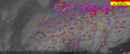Erwartete Tageshöchsttemperaturen [°C] in der Schweiz am Dienstag, den 11. Juli 2023.