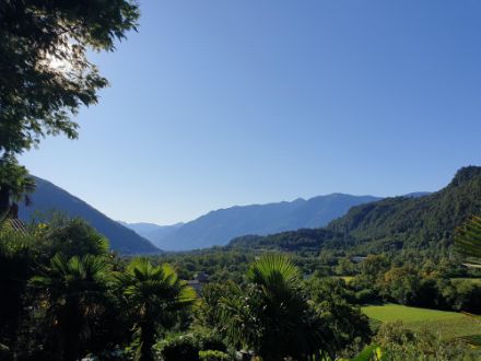 Abbildung 8: Mit Nordwind eitler Sonnenschein in Cavigliano (TI).