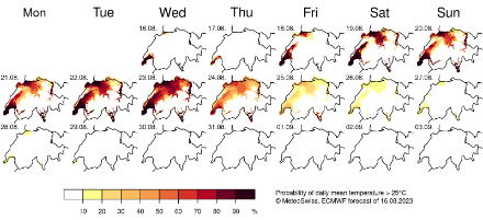 Wahrscheinlichkeit in Prozent für das Überschreiten der Tagesmitteltemperatur über 25 Grad, gemäss dem europäischen Wettermodell IFS. Bis mindestens Donnerstag 24. August ist die Wahrscheinlichkeit dafür deutlich erhöht, danach nimmt die Unsicherheit in der Prognose deutlich zu. 