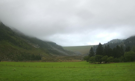 Auf dem Jäntelboden im Göschener Tal brachte heute die Nordstaulage - wie gewohnt - graues und wolkenverhangenes Wetter.