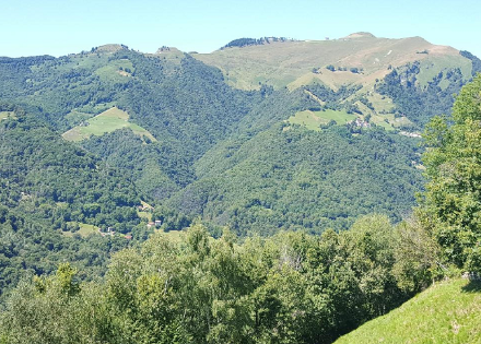 In Scudellate im Valle di Muggio - dem südlichsten Schweizer Tal - erinnerte heute gar nichts mehr an die trüben Verhältnisse des Alpennordhangs, denn die Sonne schien von früh bis spät bei strahlend blauem Himmel und sehr klarer Luft.
