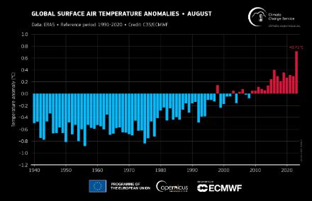 Säulendiagramm zur globalen Augusttemperatur.
