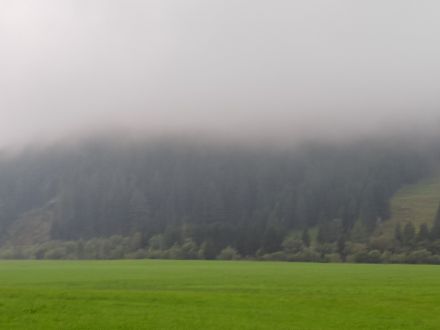 Aus der Gemeinde Mesocco erreichte uns heute Morgen dieses Bild. Die/Der Fotografin/Fotograf befand sich nur knapp unter der Bewölkungsuntergrenze.