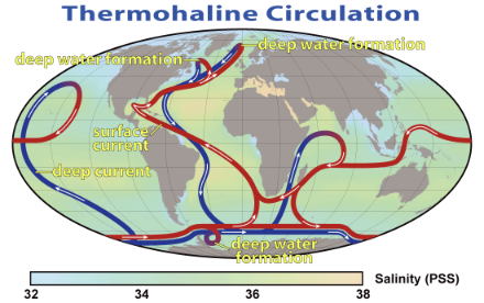 Schematische Darstellung der thermohalinen Zirkulation.