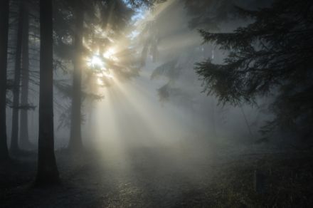 Ungetrübter Genuss für alle: Gegen die Septembersonne hat dieser Nebel keine Chance. 