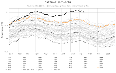 Verlauf der mittleren globalen Ozeantemperatur ohne Polarregionen von 60°S bis 60°N.