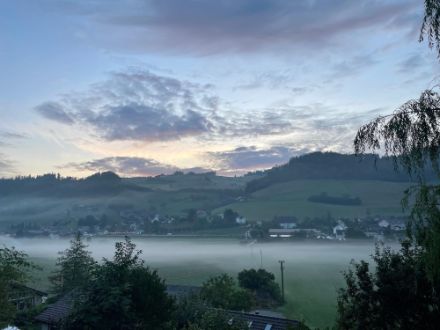Blick auf ein flaches Morgennebelfeld bei Walkringen BE.
