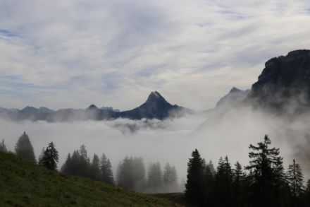 Cirrus spissatus: Dichterer Cirrus in Form von Flecken, Bändern oder Bündeln, welcher die Sonne teils abzudecken vermag und deshalb grau erscheint.