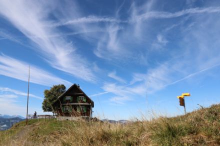 Cirrus fibratus und uncinus: Fäden oder hakenförmige Wolken, die den Himmel überziehen. Beobachtet heute Vormittag bei der Alp Wildegg. 
