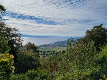 Cirrocumulus stratiformis perlucidus: Über der Westschweiz, im Hintergrund der Genfersee, überzogen zeitweise ausgedehntere Cirrocumulus stratiformis perlucidus den Himmel. Der Name rührt daher, dass es sich um einzelne kleine Wölkchen (Cirrocumulus) handelt, die in Form von Feldern (stratiformis) auftreten und durch die dazwischenliegenden Lücken das Himmelsblau oder die Sonne noch sichtbar sind. 