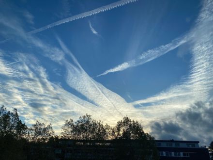 Cirrus homogenitus: Die Kondensstreifen der Flugzeuge (Contrails) werden als Cirrus homogenitus bezeichnet, was so viel wie infolge menschlicher Aktivität gebildete Eiswolke bedeutet. Der Zusatz homogenitus lässt sich auch mit anderen Wolkengattungen und Arten kombinieren, sofern der Ursprung der Wolke auf eine menschliche Aktivität zurückzuführen ist. 