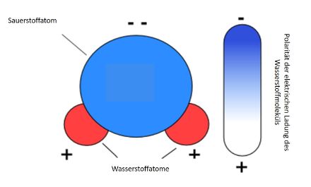 Ladungsverteilung und Polarität eines Wassermoleküls. 