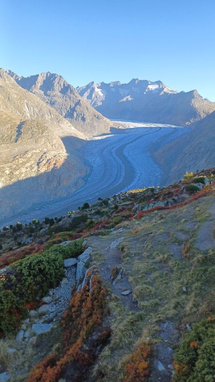 Der Aletschgletscher aufgenommen von Moosfluh her, oberhalb von Riederalp 