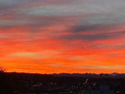 Morgenrot in Dietlikon