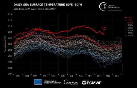 Globale gemittelte Meeresoberflächentemperatur, dargestellt als Jahresgangslinien seit 1979. 